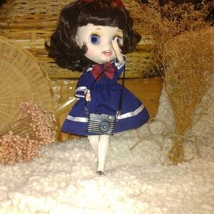 Blythe Doll Accessories